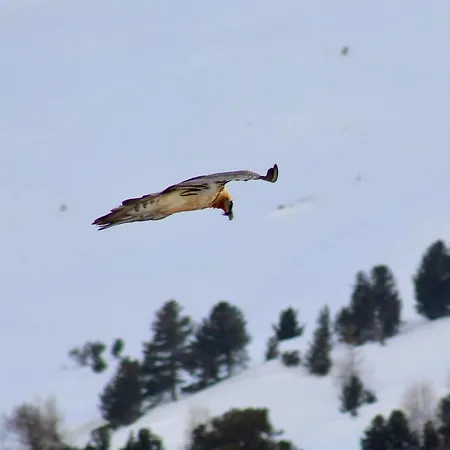 卡佩塔酒店 Avers