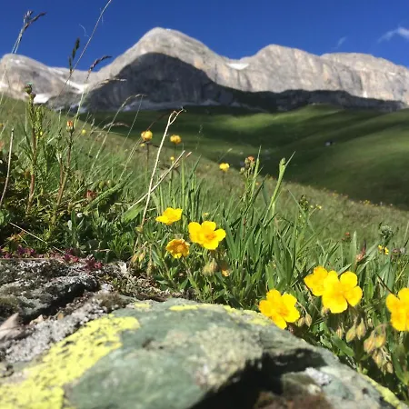 Capetta 3*