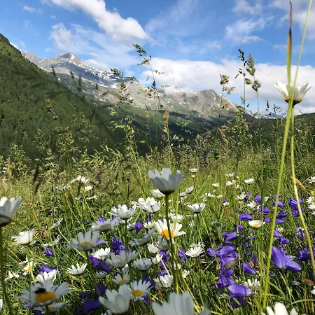 Отель Capetta Avers