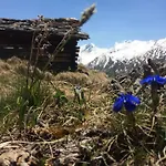 Ξενοδοχείο Capetta 3*