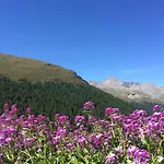 Ξενοδοχείο Capetta