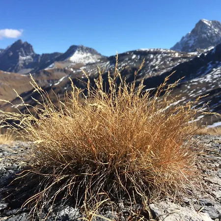 Отель Capetta Avers