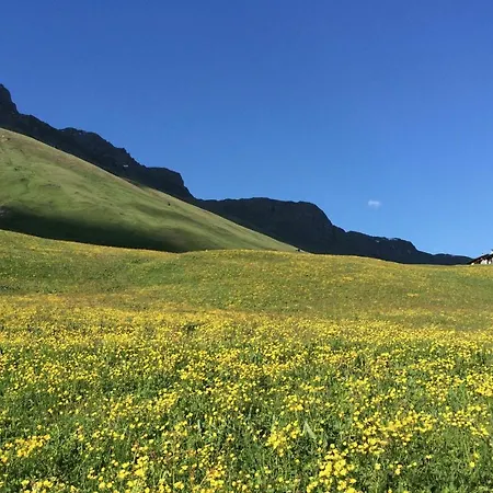 Отель Capetta 3*